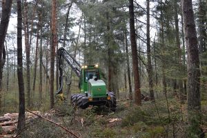 Zaagwerk van grote perselen