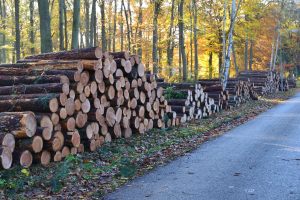 Houtstapel klaar voor transport