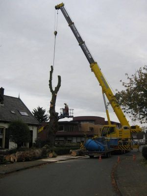 Ook voor moeilijk zaagwerk